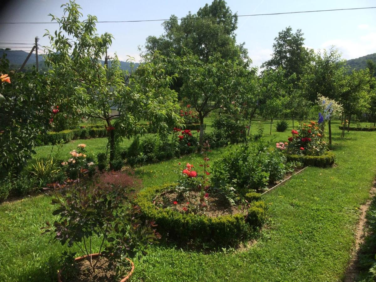 Квітковий двір Голубине Екстер'єр фото